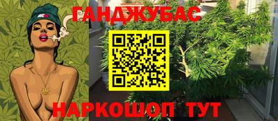 гашик Нарткала