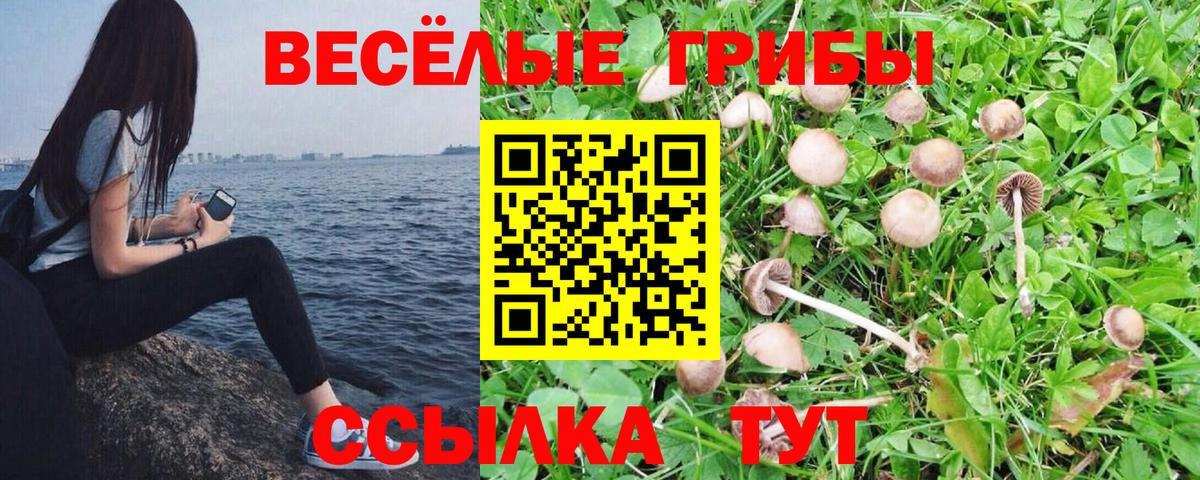 Галлюциногенные грибы мицелий  Вход с VPN  Углич 