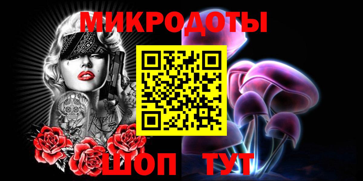 Псилоцибиновые грибы Psilocybe Углич